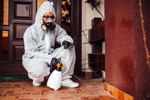 Attic and Crawl Space Rodent Treatment in Wrightsville